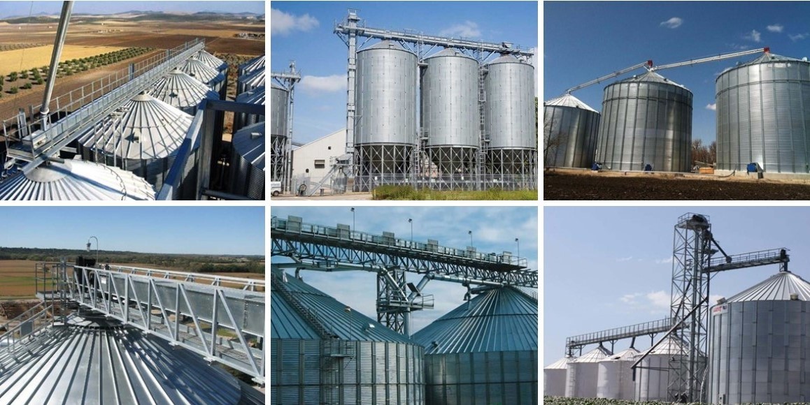 Convoyeur de grain de grain